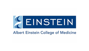 Logo: Einstein Partners